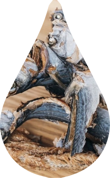 鰆節