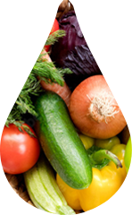 色々な旬のお野菜